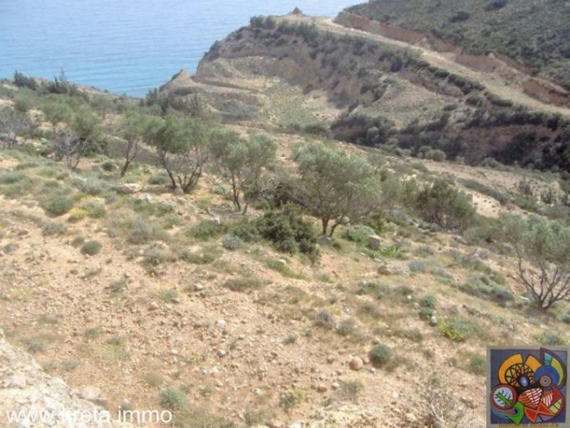Kokkinos Pirgos Kreta, Kokkinos Pirgos, Agia Galini, gr. Grundstück 130.000qm² mit Panorama Meerblick zu verkaufen Grundstück kaufen